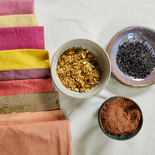 Natural Dye Kit 02:Brights