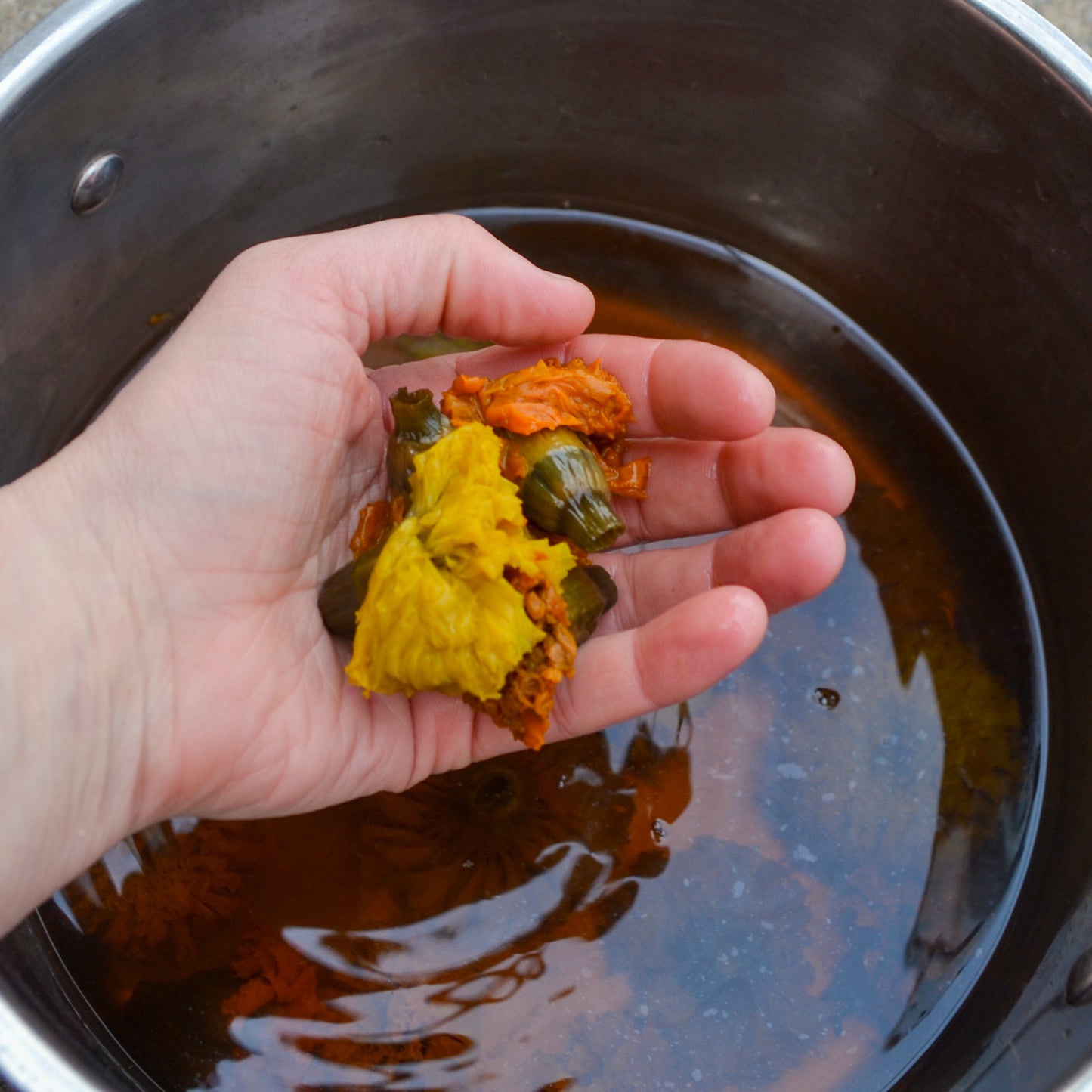 Beginner's Guide to Natural Dyeing