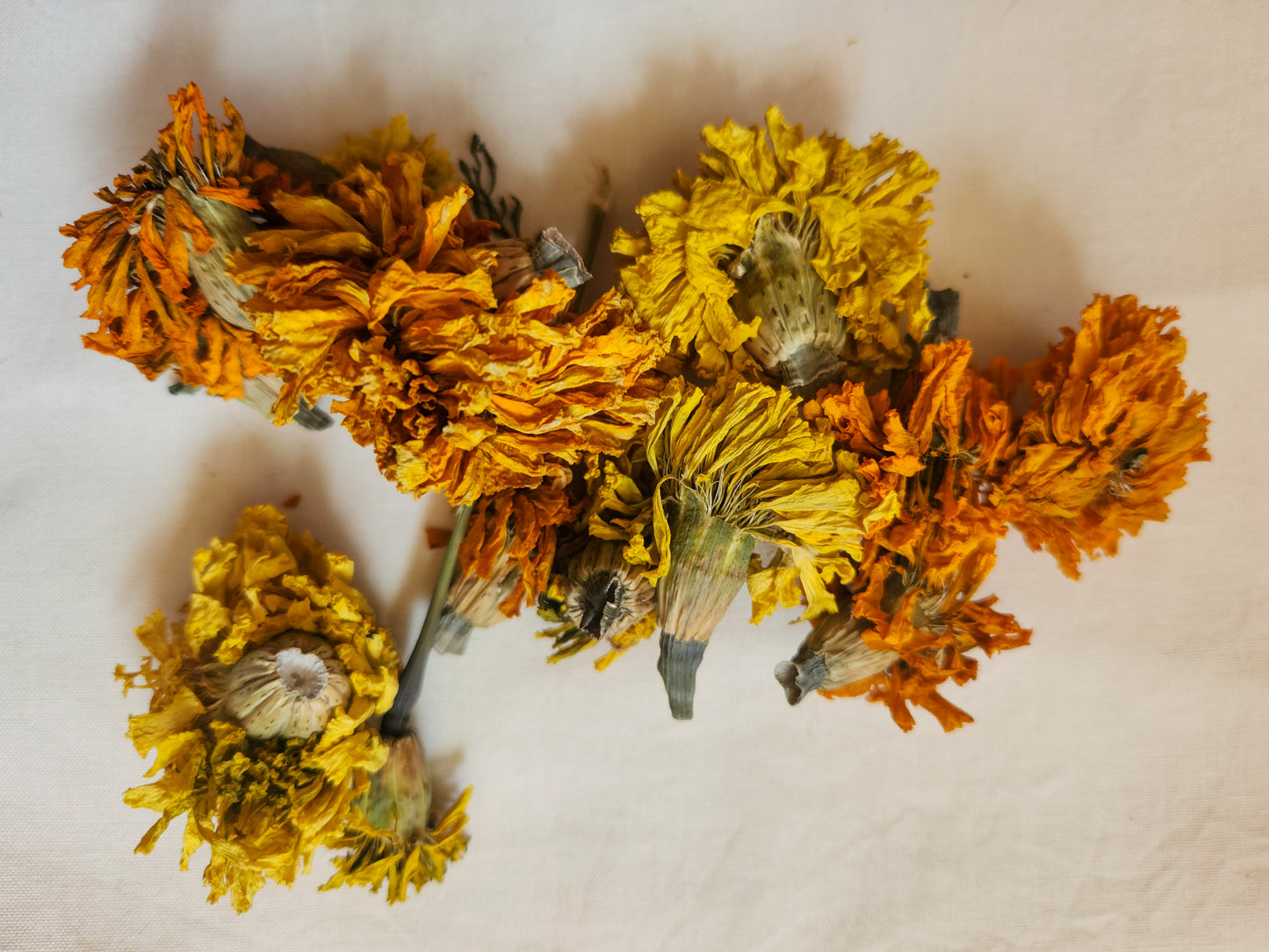 Side Lake Stitch Kit 01: May Day Flower