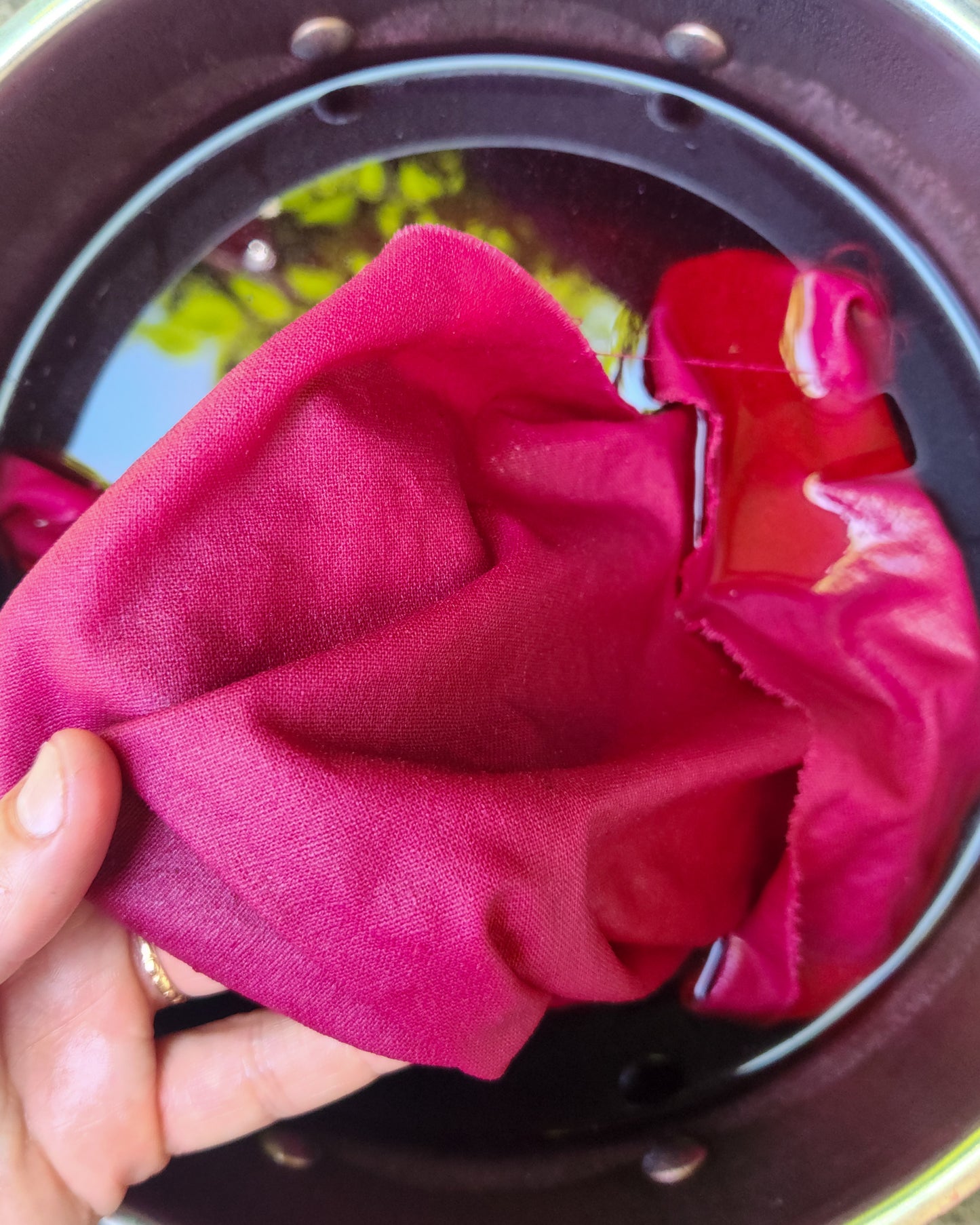 Natural Dye Kit 02:Brights