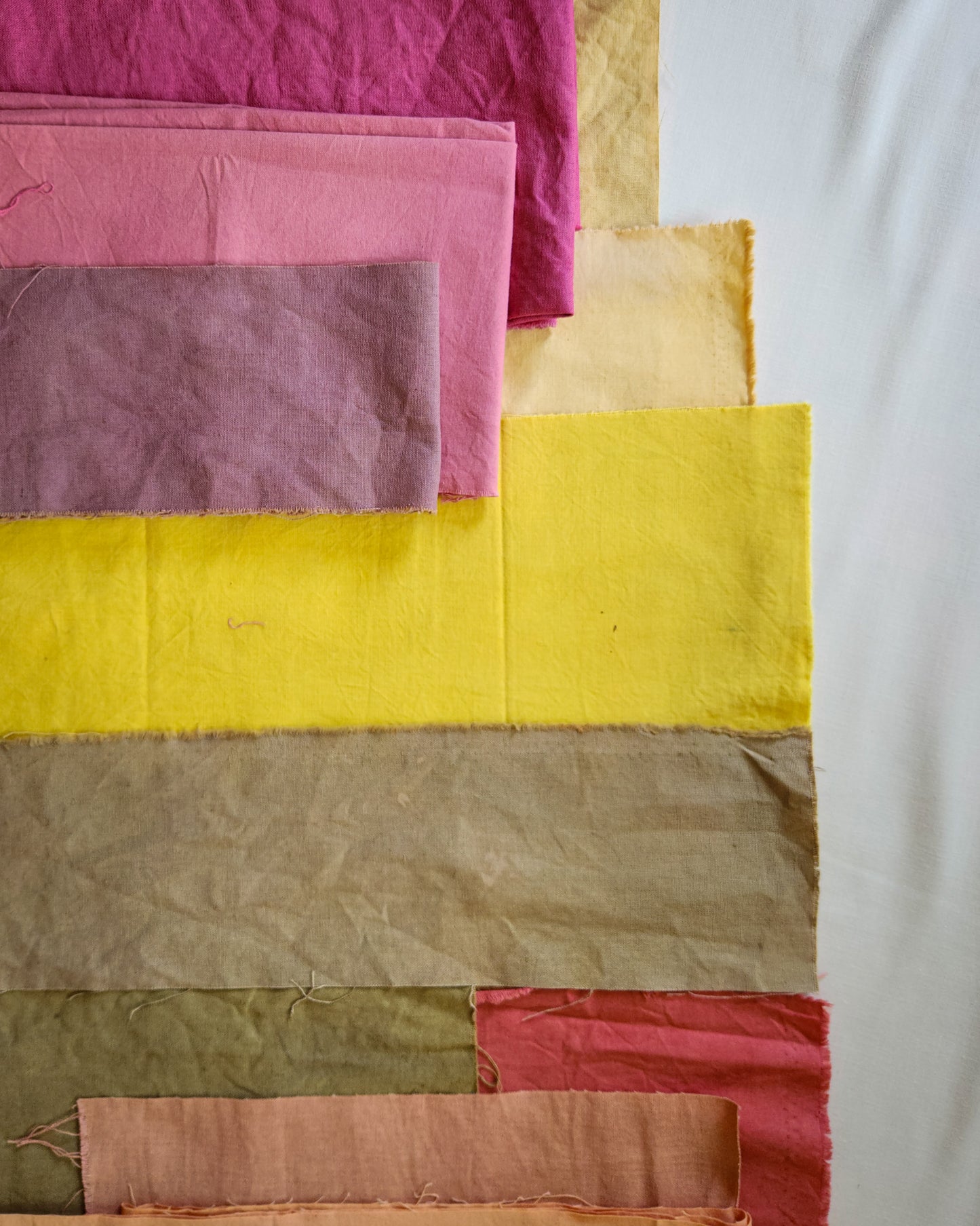 Natural Dye Kit 02:Brights