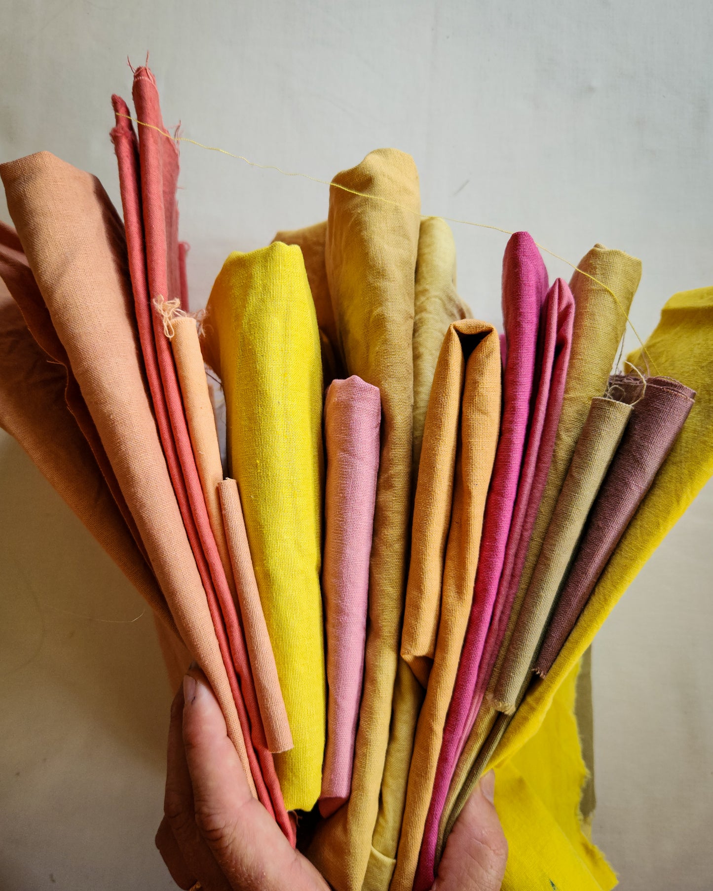 Natural Dye Kit 02:Brights