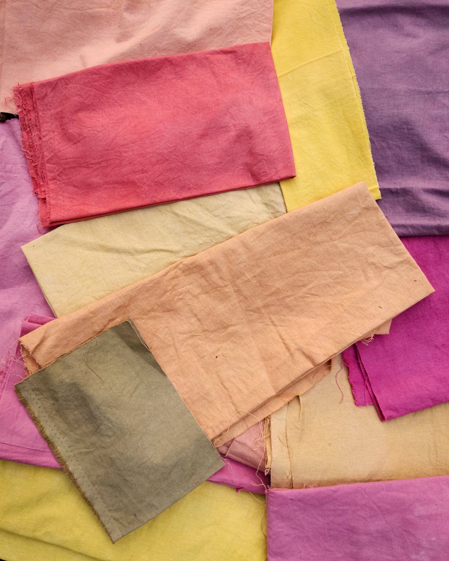 Beginner's Guide to Natural Dyeing