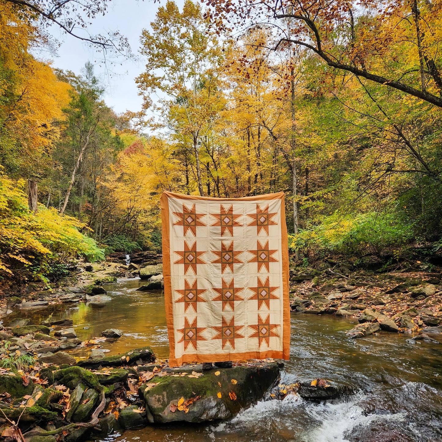 Strawflower Quilt Pattern